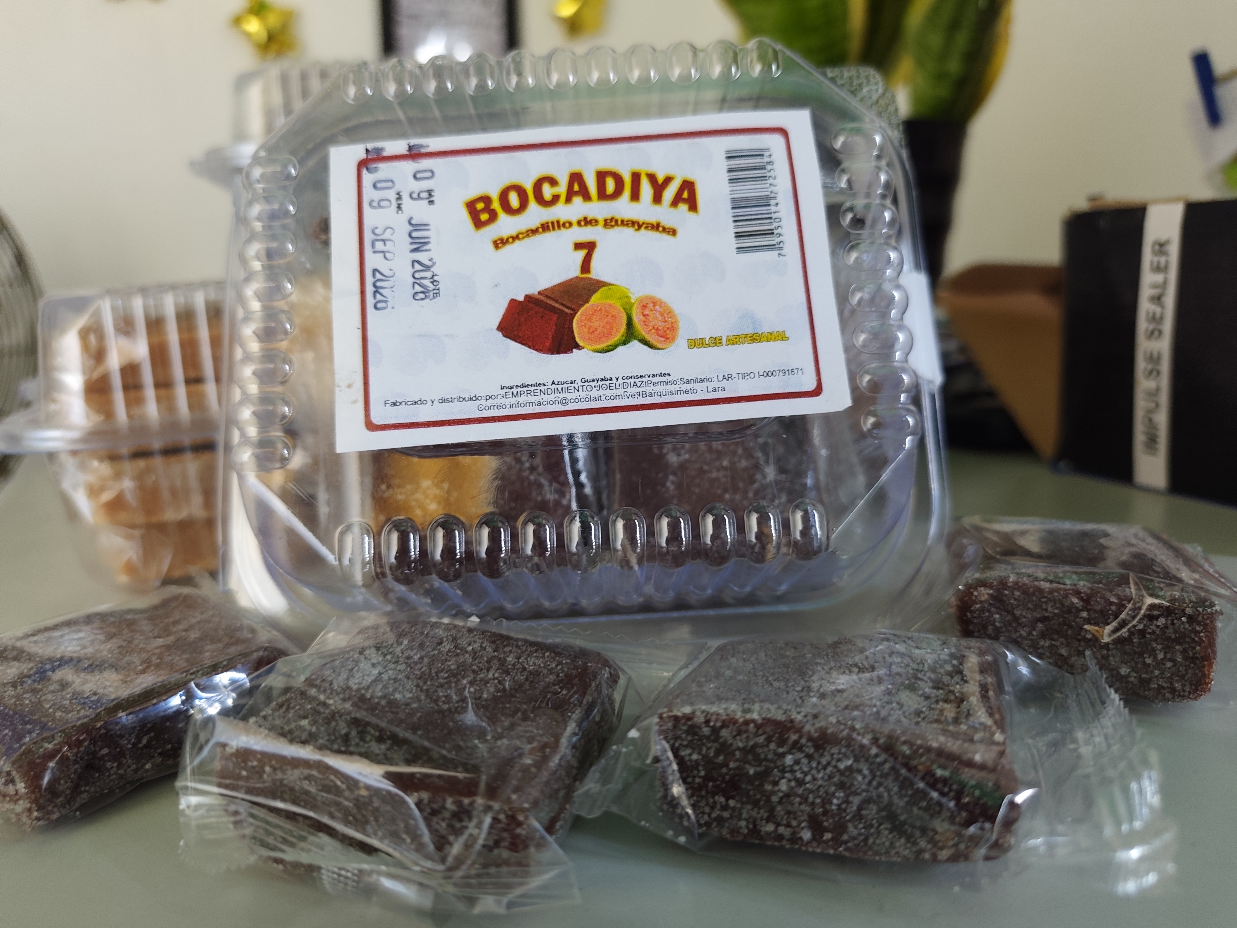 Bocadiya
